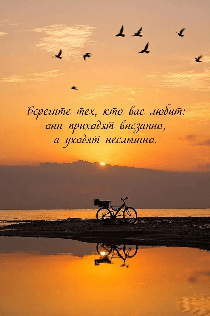 Берегите тех, кто вас любит:  они приходят внезапно, а уходят неслышно.