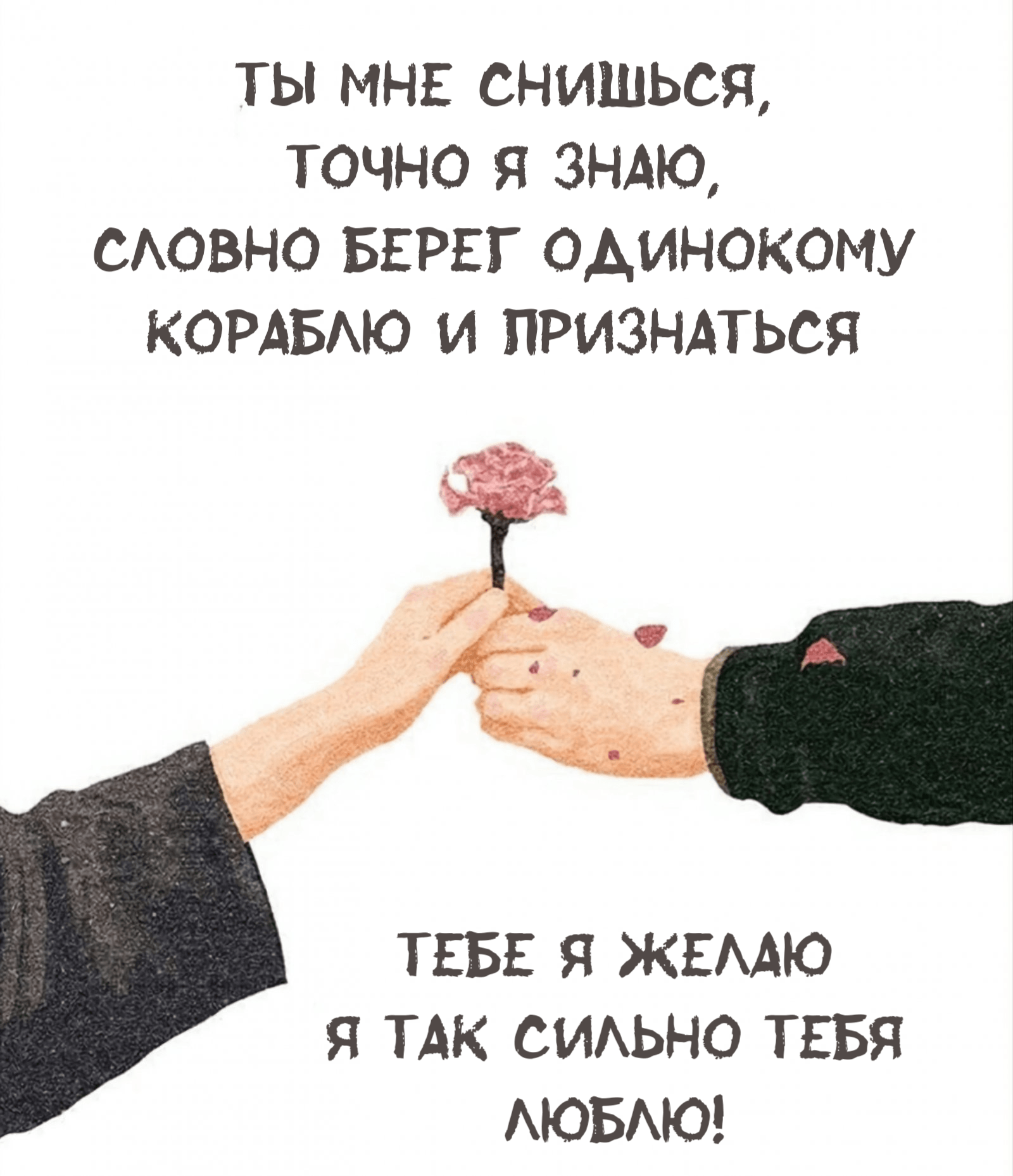 Ты мне снишься, точно я знаю, словно берег одинокому кораблю и признаться тебе я желаю я так сильно тебя люблю!