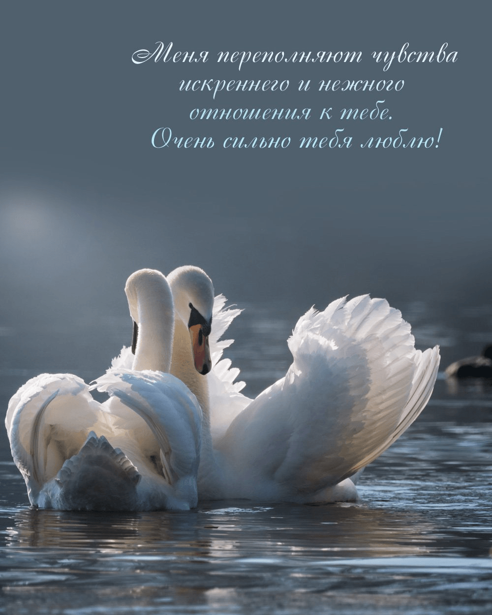 Меня переполняют чувства искреннего и нежного отношения к тебе.