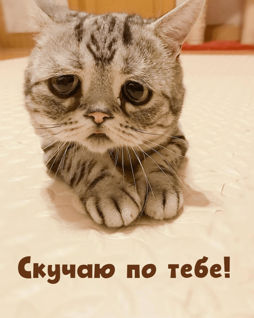 Скучаю по тебе!