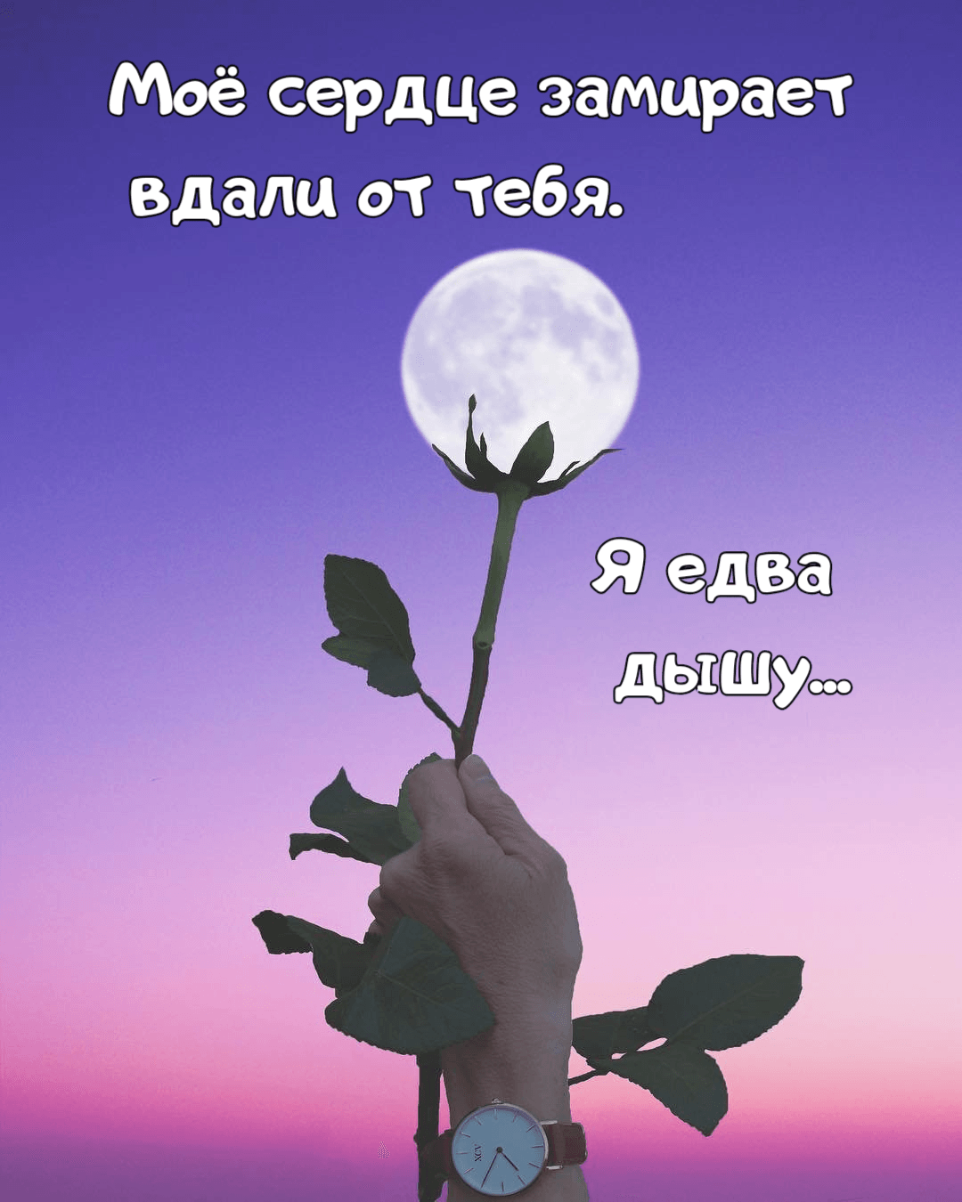 Моё сердце замирает вдали от тебя