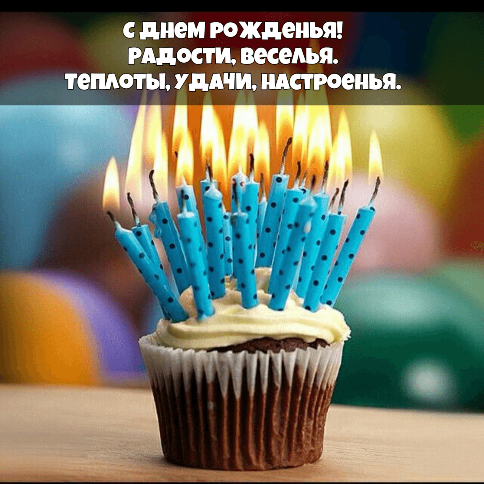 Теплоты, удачи, настроенья.