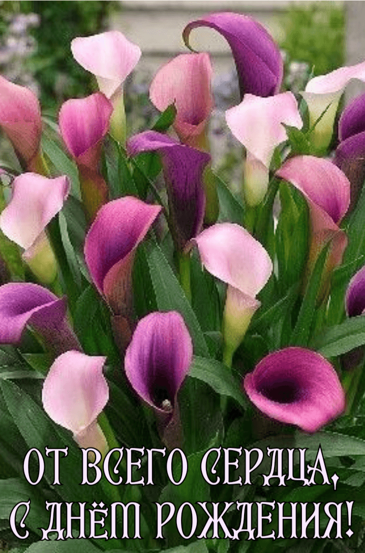 От всего сердца, С Днём Рождения!