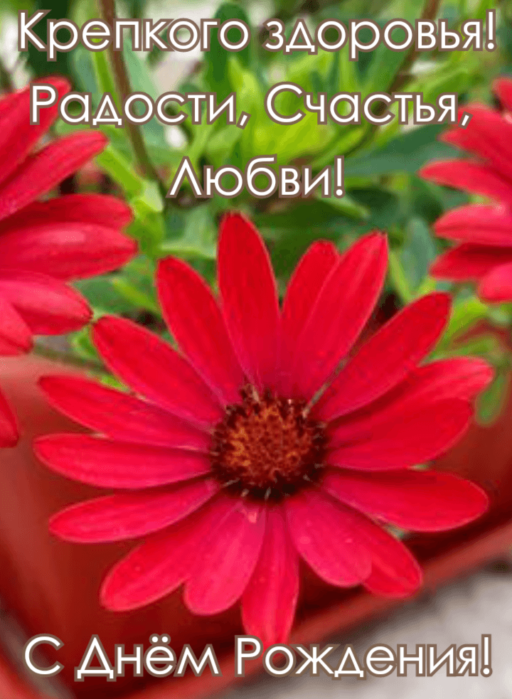 Крепкого здоровья! Радости, Счастья, Любви!