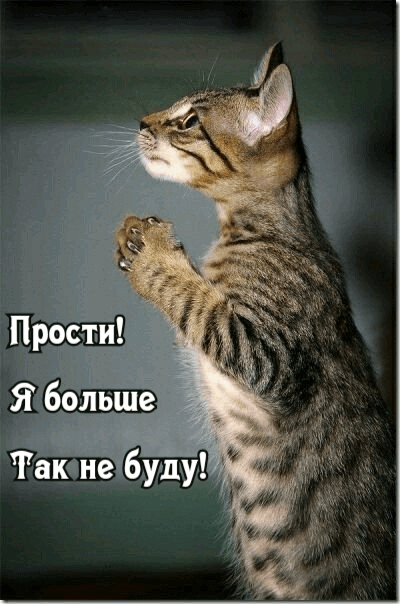 Прости! Я больше Так не буду!