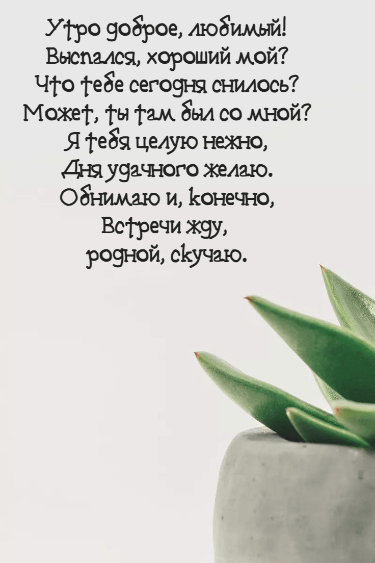 Утро доброе, любимый! Выспался, хороший мой? Что тебе сегодня снилось? Может, ты там был со мной? Я тебя целую нежно, Дня удачного желаю. Обнимаю и, конечно, Встречи жду, родной, скучаю.