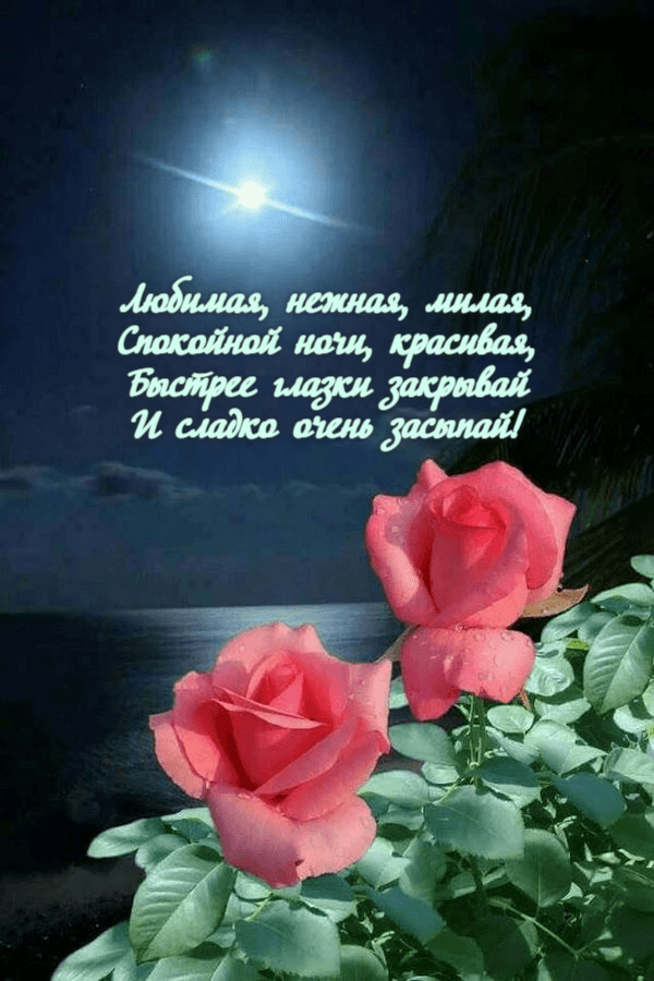Любимая, нежная, милая, Спокойной ночи, красивая, Быстрее глазки закрывай И сладко очень засыпай!