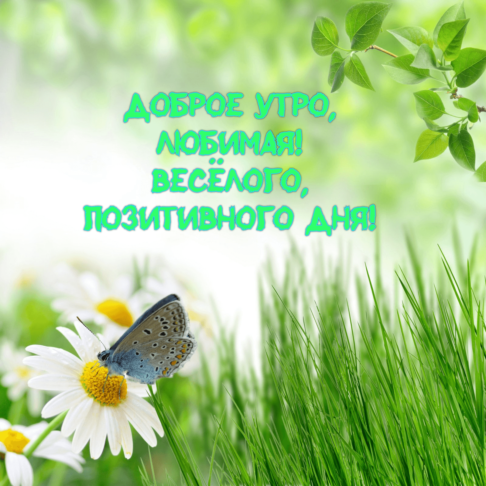 Весёлого, позитивного дня!