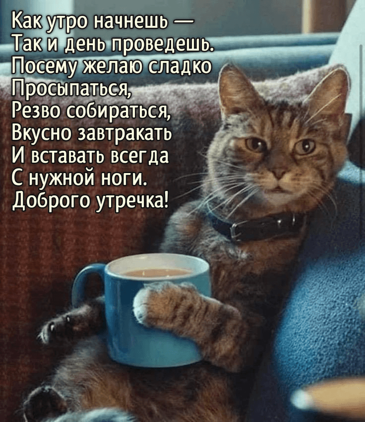 Как утро начнешь — Так и день проведешь