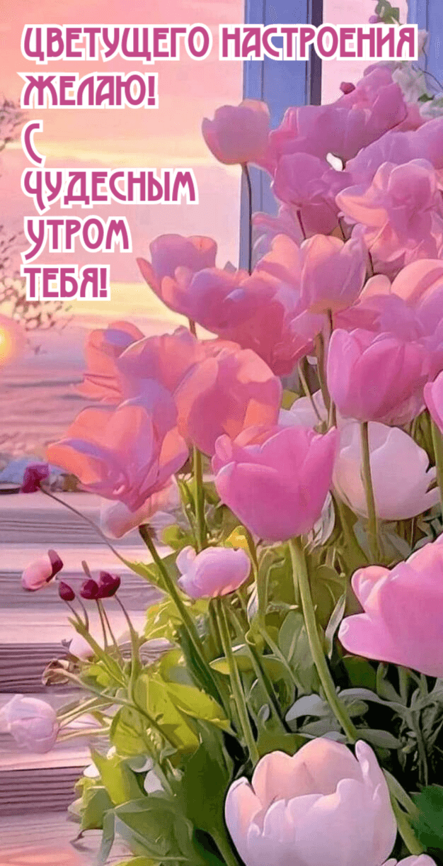 Цветущего настроения желаю!
