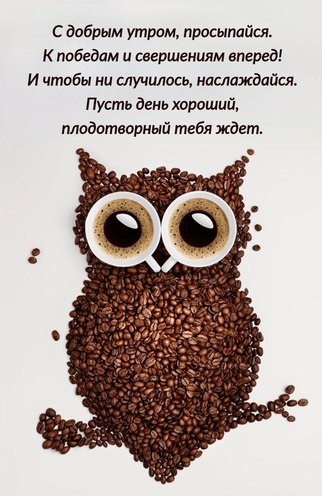 С добрым утром, просыпайся. К победам и свершениям вперед! И чтобы ни случилось, наслаждайся. Пусть день хороший, плодотворный тебя ждет.