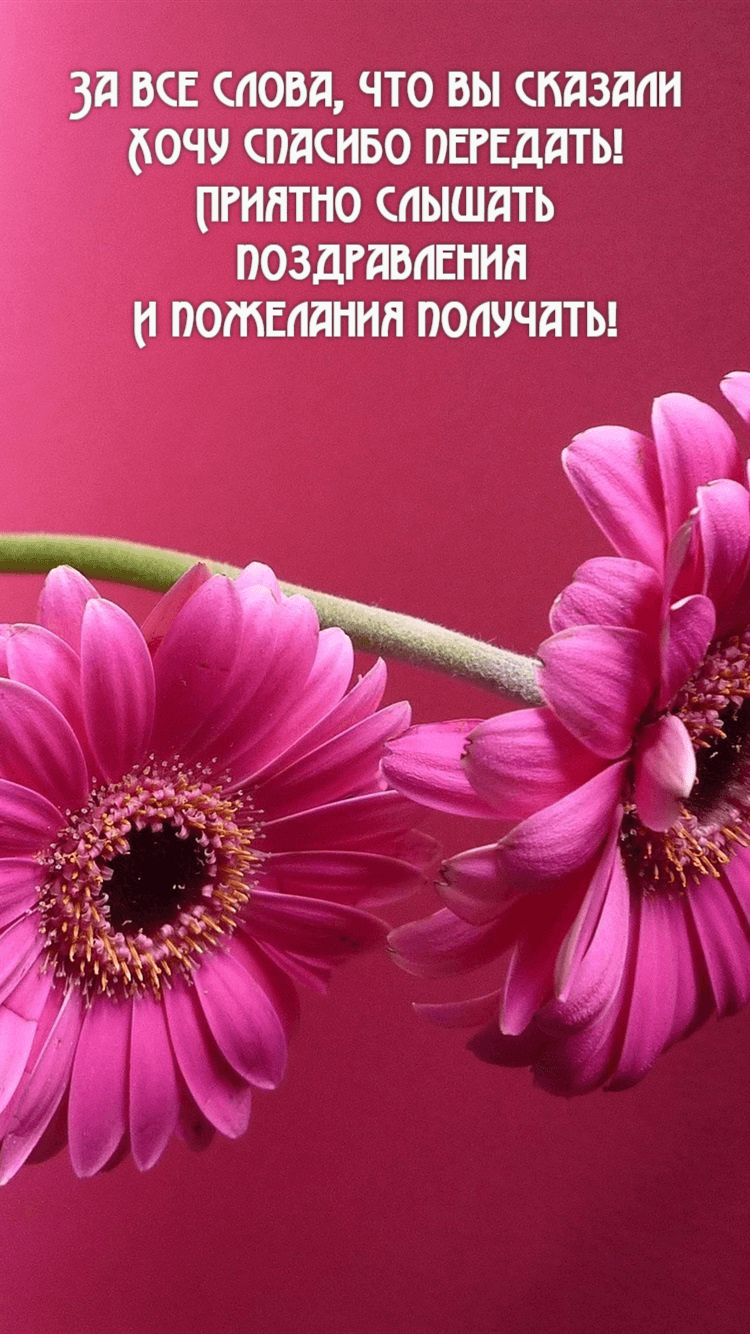 Хочу спасибо передать!
