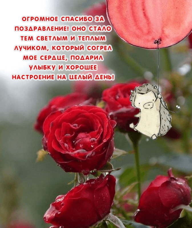 Огромное спасибо за поздравление!