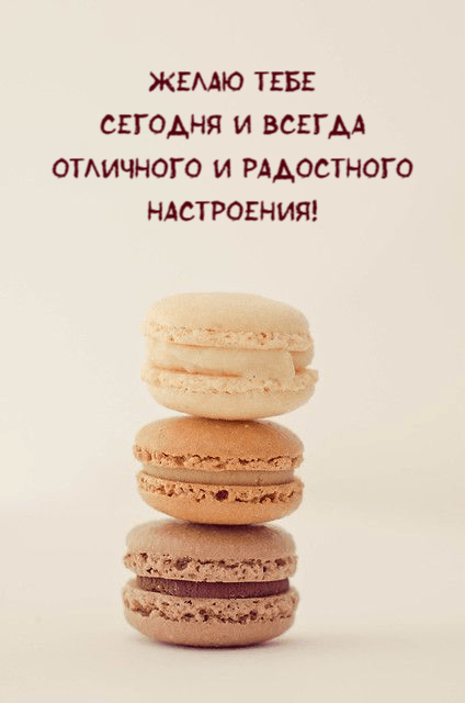 Желаю тебе сегодня и всегда отличного и радостного настроения!