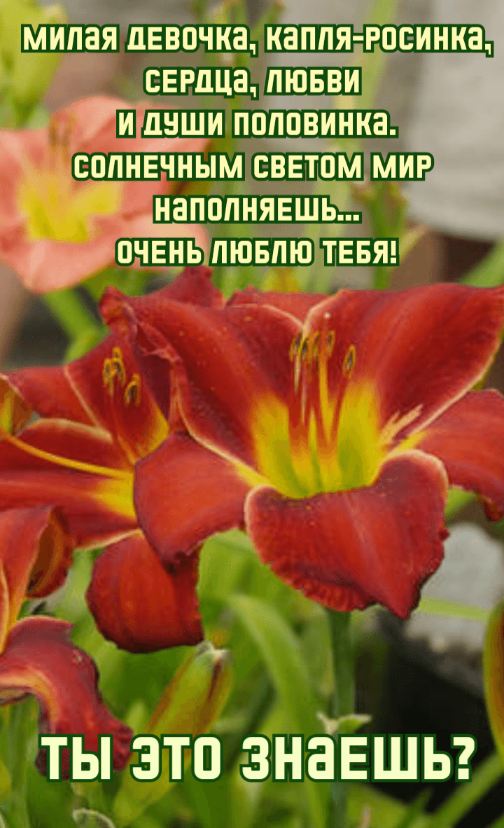 Очень люблю тебя! Ты это знаешь?