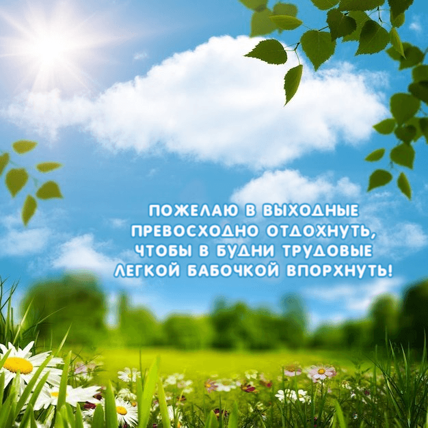 Пожелаю в выходные Превосходно отдохнуть