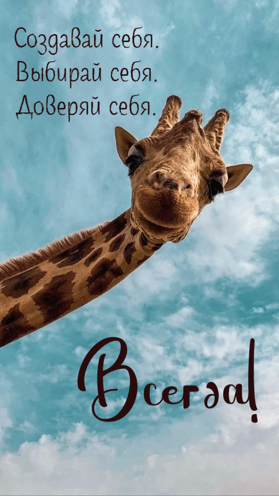 Создавай себя. Выбирай себя. Доверяй себя.
