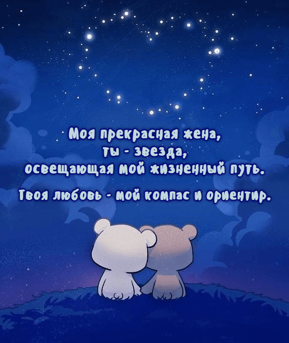 Моя прекрасная жена, ты - звезда, освещающая мой жизненный путь.